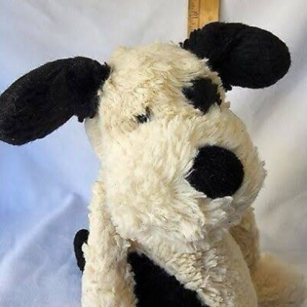 Bashful Black & Cream Puppy - Picture 2 of 4